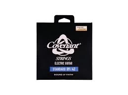 Струны д/эл COVENANT AGS-0942E