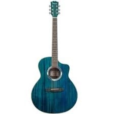 акустическая гитара SHINOBI H-12G BL