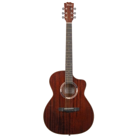 Акустическая гитара SHINOBI H-1G BR