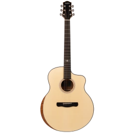 Акустическая гитара Aion Q30