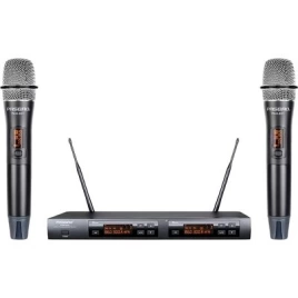 Радиосистема ручная 2/1 Pasgao PAW920/2xPAH801