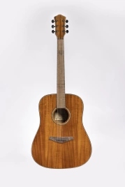 Акустическая гитара Sevillia DS-250 FCKNT