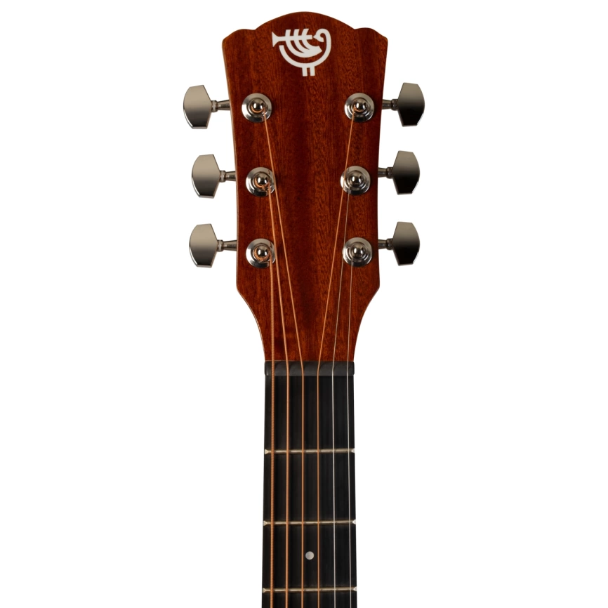 Акустическая гитара ROCKDALE AURORA D3 C NAT GLOSS, с вырезом,цвет натуральный, глянцевое покрытие фото 4