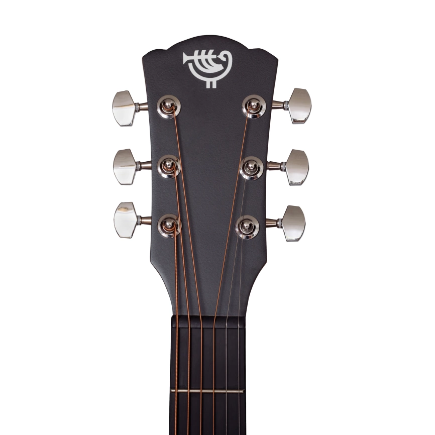 Акустическая гитара ROCKDALE AURORA D1 BK полупрозрачный черный         фото 9