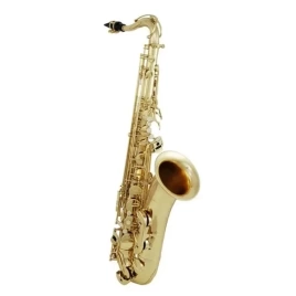 Саксофон ROY BENSON TS-302 Bb тенор