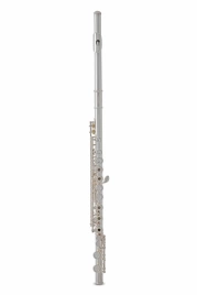Флейта ROY BENSON FL-402R