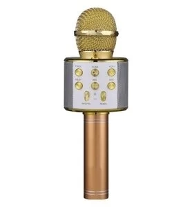 Микрофон FUN AUDIO D-800 Gold беспроводной фото 1