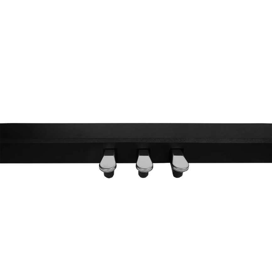 Цифровое фортепиано ANTARES D-380 BK с приложением фото 5