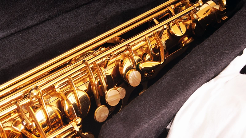 Саксофон АЛЬТ FLT-SAL CONDUCTOR цвет золото фото 5