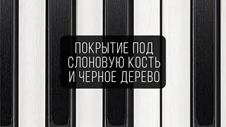 Цифровое фортепиано CASIO PRIVIA PX-S1000BK фото 8