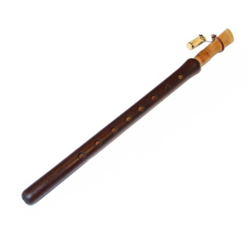 ДУДУК Арарат M550PRO A абрикосовое дерево фото 1