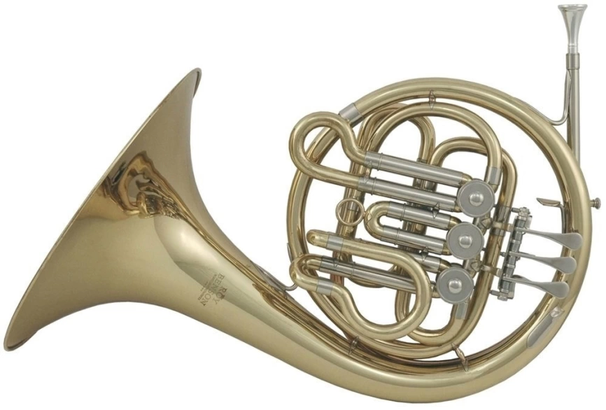 Валторна ROY BENSON HR-202 фото 1