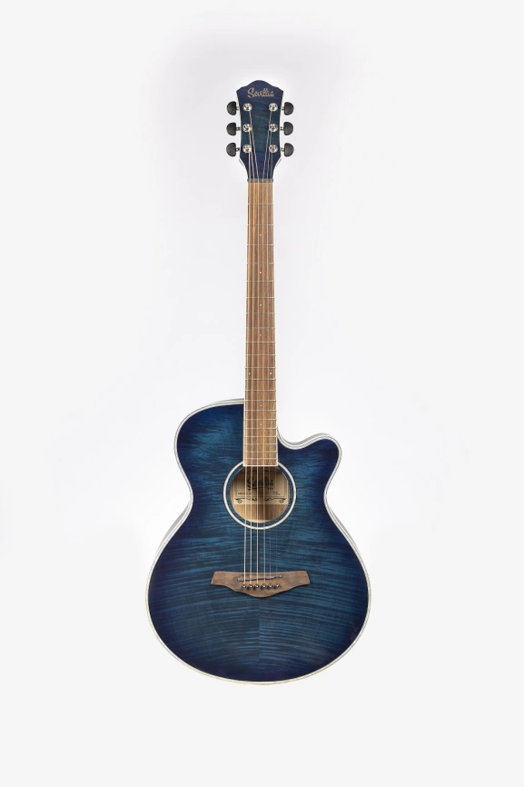 Акустическая гитара SEVILIA DS-200 BLS  фото 1