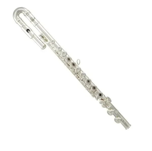 Флейта ROY BENSON FL-402R2 фото 1