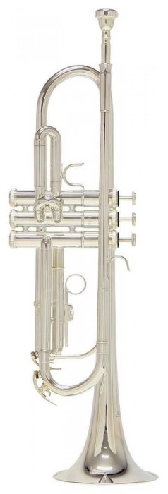 Труба ROY BENSON TR-202S Bb цвет серебро фото 1