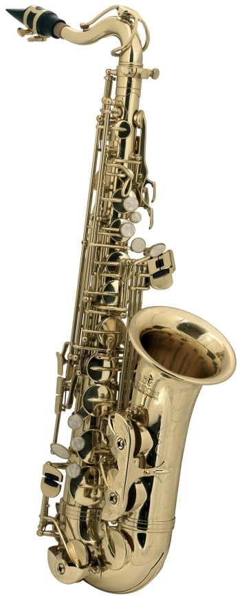 Саксофон ROY BENSON AS-201 альт фото 1