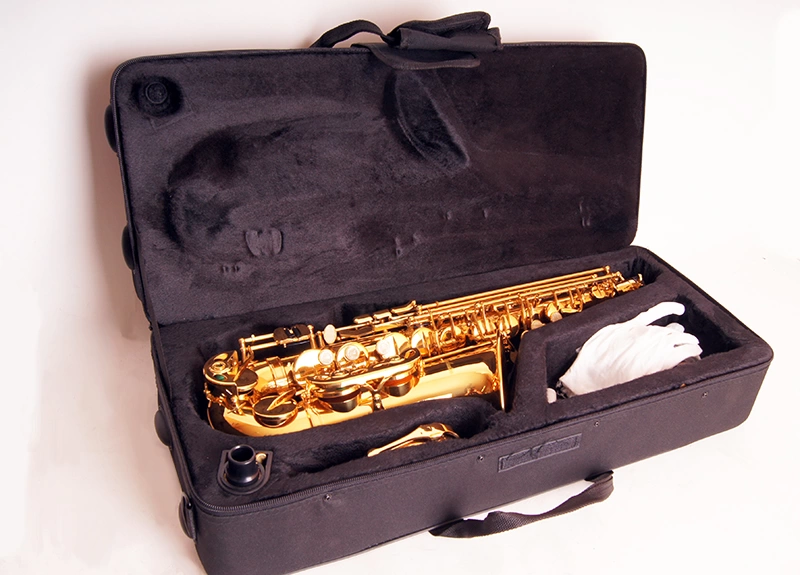 Саксофон АЛЬТ FLT-SAL CONDUCTOR цвет золото фото 3