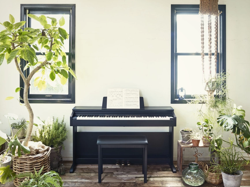 Цифровое фортепиано CASIO CELVIANO AP-270BK фото 4