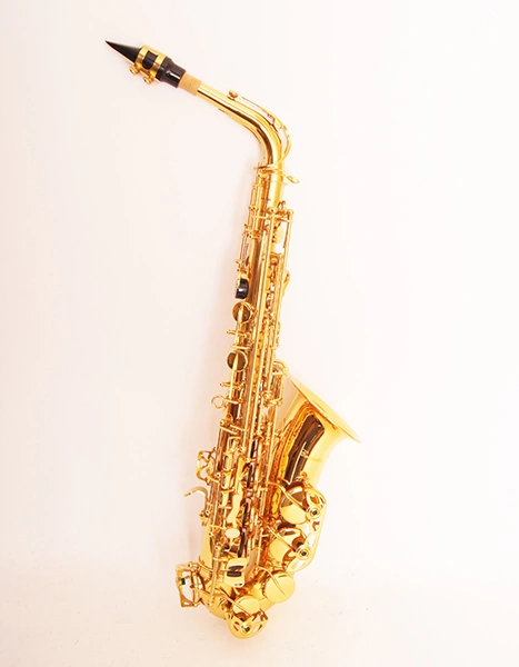 Саксофон АЛЬТ FLT-SAL CONDUCTOR цвет золото фото 1